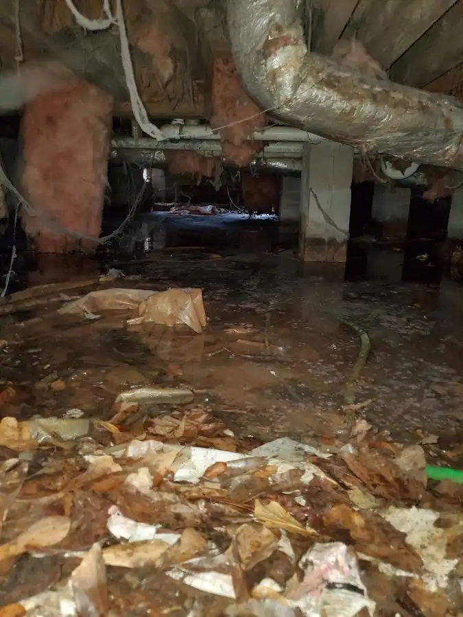 Crawl space flood assessment for Leak Detection & Repair in Chesapeake